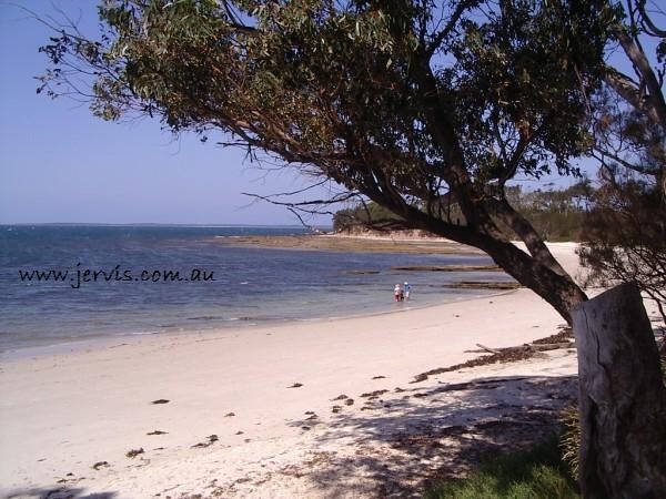 Barfleur Beach Jervis Bay