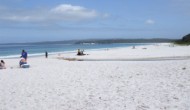 Hyams Beach tourist information