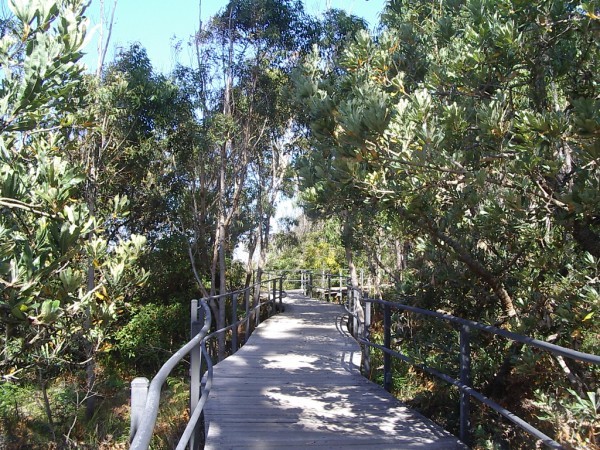 White Sands Walk Jervis Bay